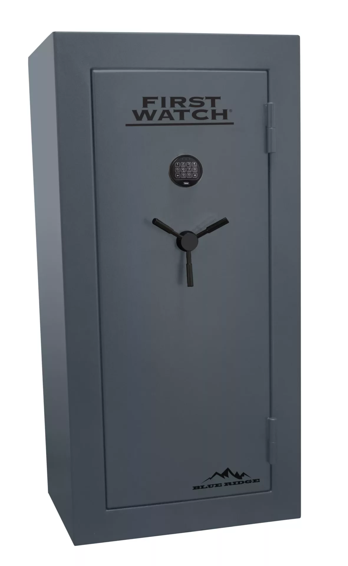 24 Gun Blue Ridge Safe 24 Gun Blue Ridge Safe Free Shipping Blue Ridge 2