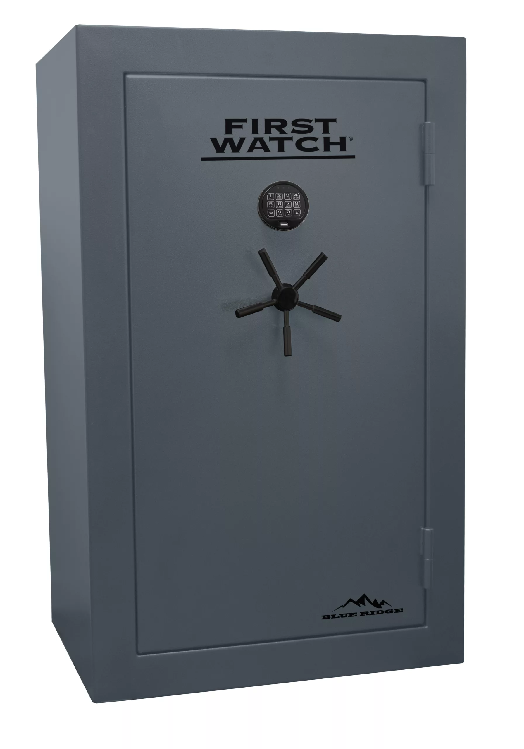36 Gun Blue Ridge Safe 36 Gun Blue Ridge Safe Free Shipping Blue Ridge 2